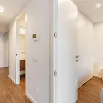 196 Andrade Corvo Collection By Minhos Guest